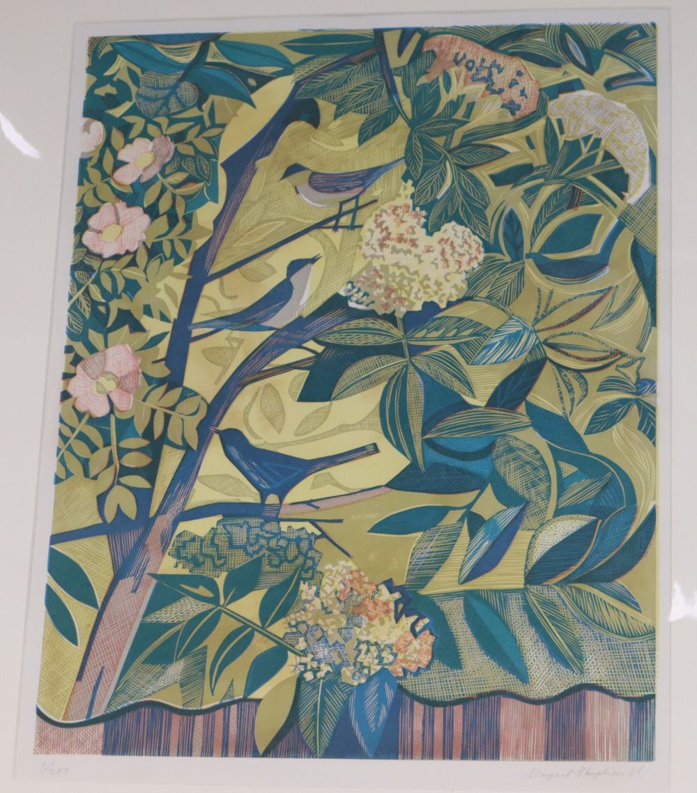 Rupert Shepherd, colour woodcut, Birds amongst flowering plants, signed in pencil, 1/200, 50 x 39cm, unframed